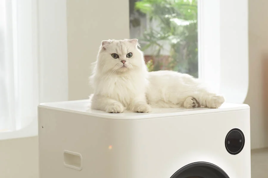 best litter box for 2 cats